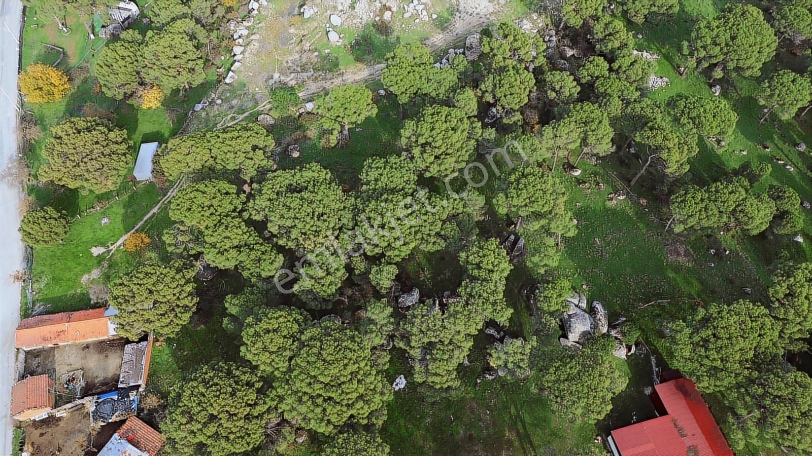 Bergama Kozak Aşağıcuma Mah. İmara 60 Mt Mesafede Satılık Bahçe - Görsel 30