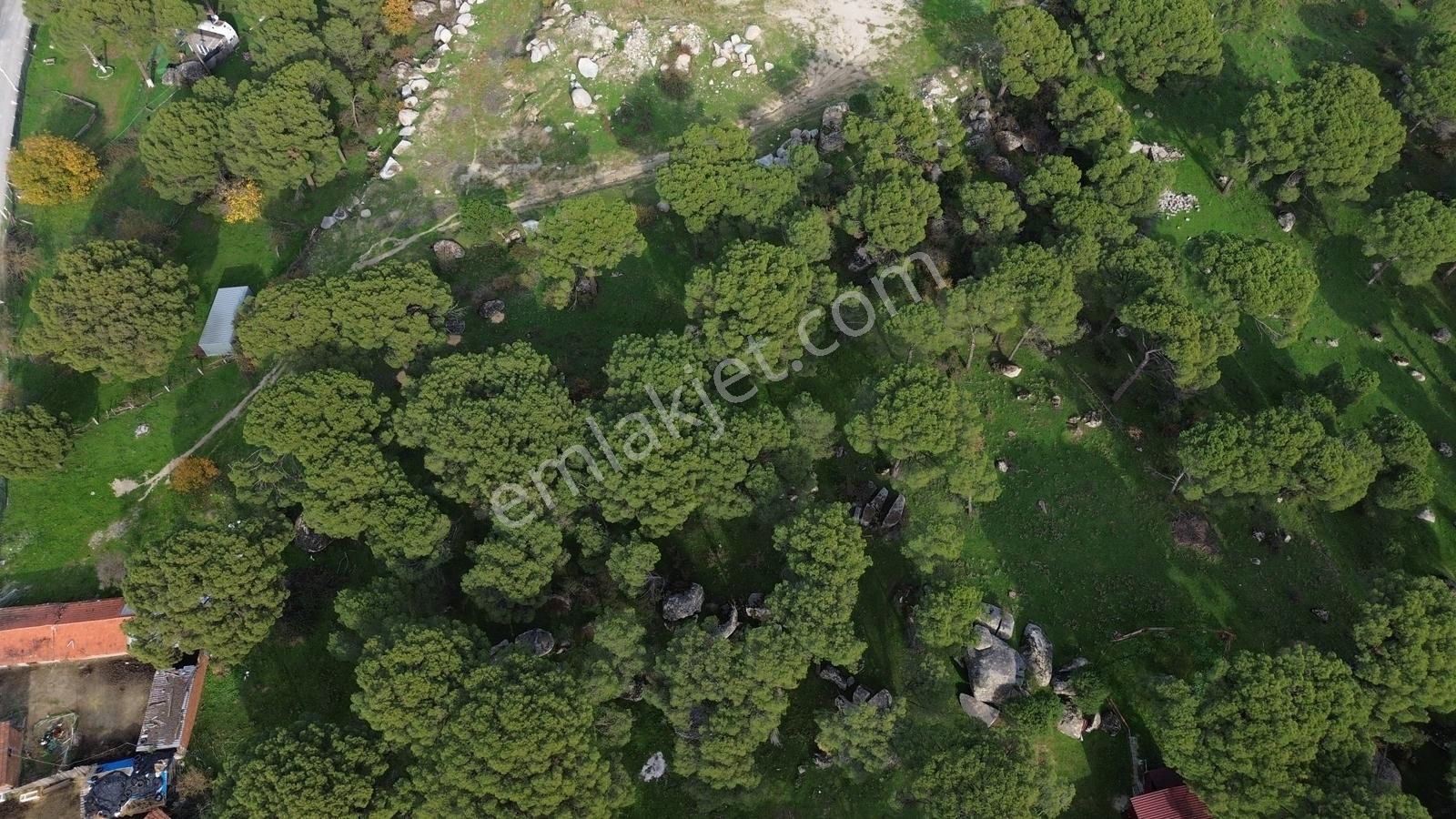 Bergama Kozak Aşağıcuma Mah. İmara 60 Mt Mesafede Satılık Bahçe - Görsel 27