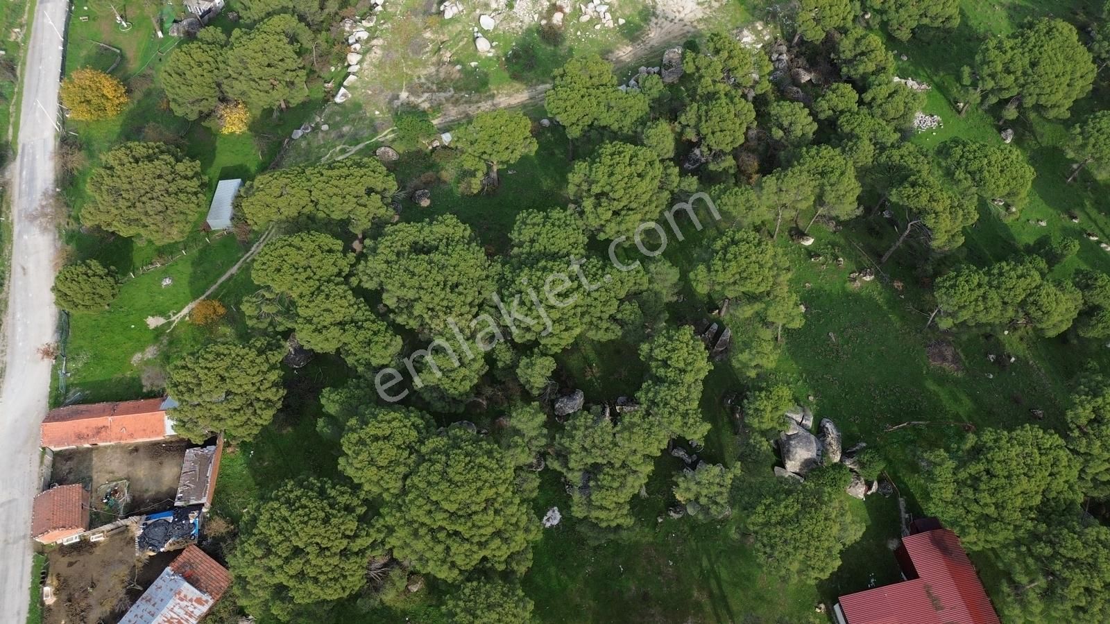 Bergama Kozak Aşağıcuma Mah. İmara 60 Mt Mesafede Satılık Bahçe - Görsel 28