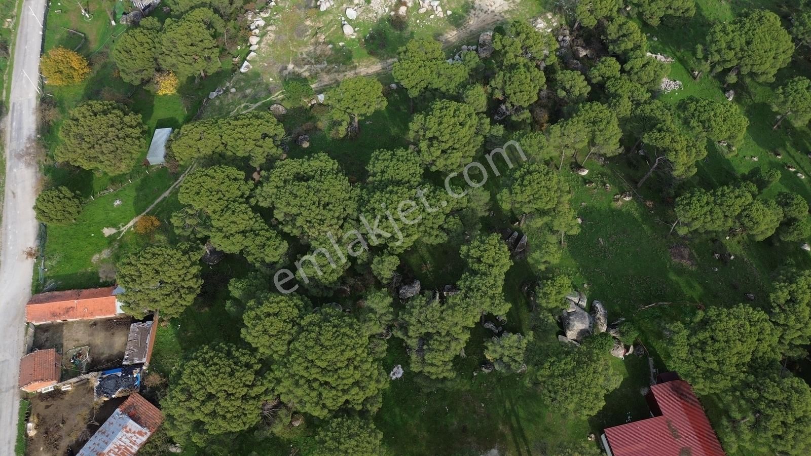 Bergama Kozak Aşağıcuma Mah. İmara 60 Mt Mesafede Satılık Bahçe - Görsel 20