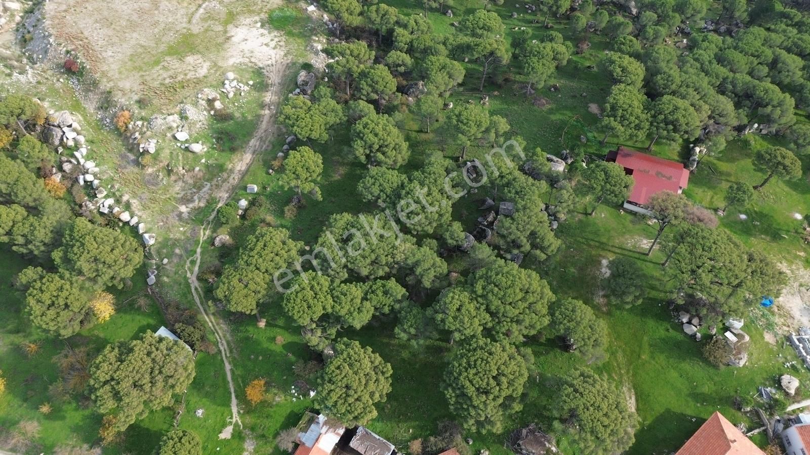 Bergama Kozak Aşağıcuma Mah. İmara 60 Mt Mesafede Satılık Bahçe - Görsel 22