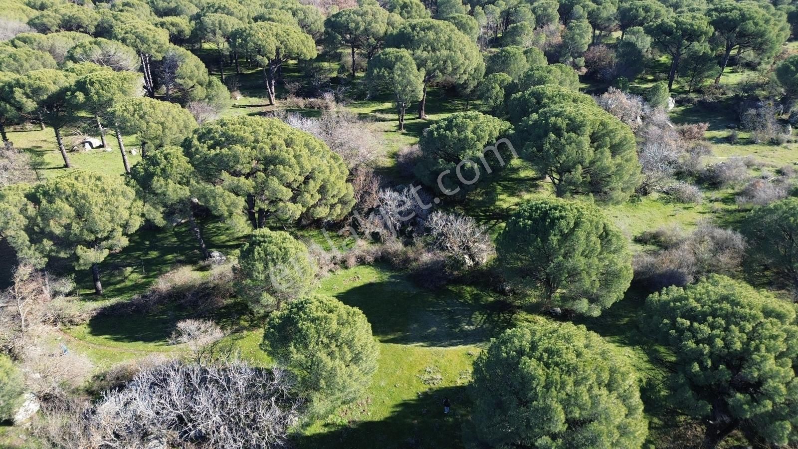 Bergama Kozak Yaylası Aşağıcuma Mahallesinde Satılık Bağ - Görsel 11