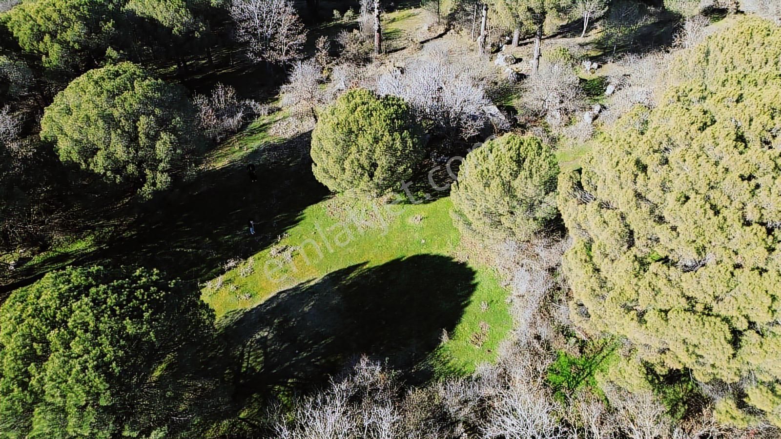 Bergama Kozak Yaylası Aşağıcuma Mahallesinde Satılık Bağ - Görsel 4