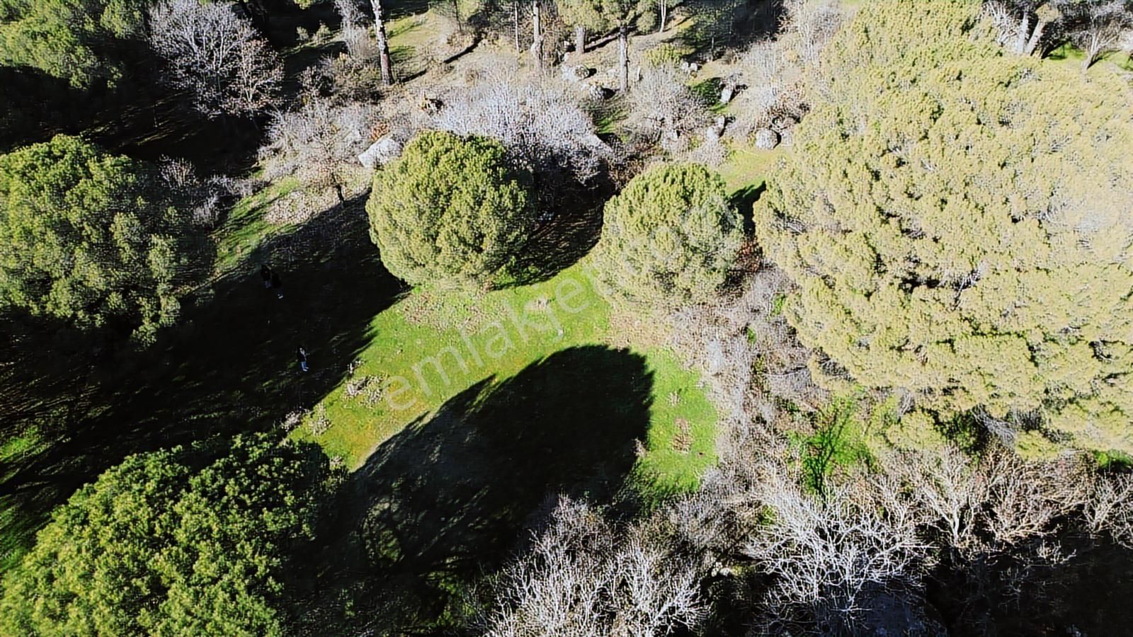Bergama Kozak Yaylası Aşağıcuma Mahallesinde Satılık Bağ - Görsel 17