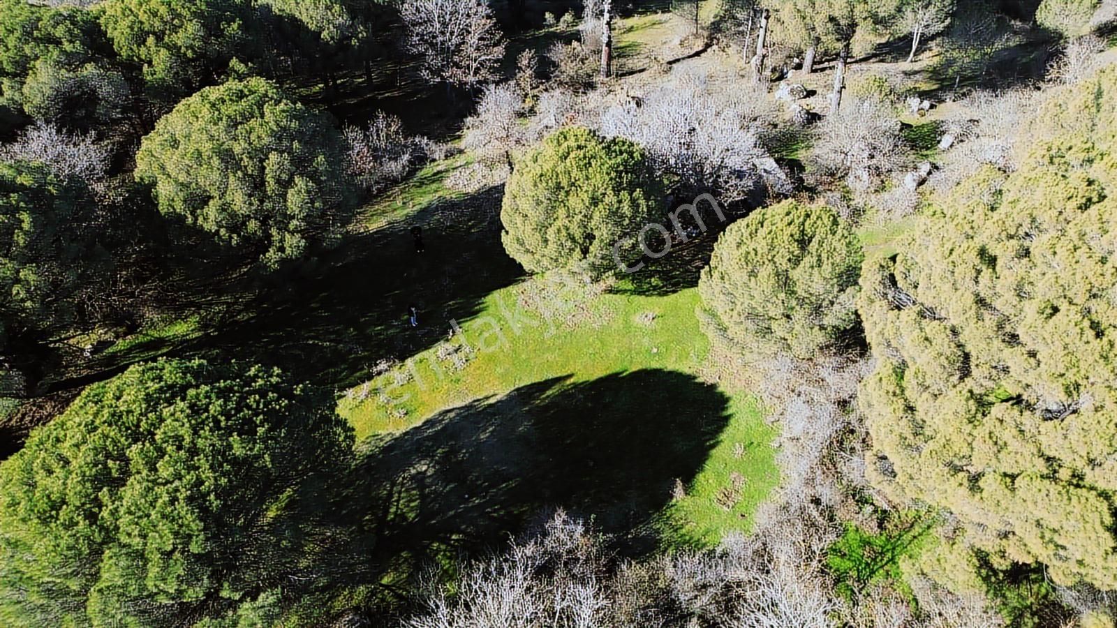 Bergama Kozak Yaylası Aşağıcuma Mahallesinde Satılık Bağ - Görsel 16