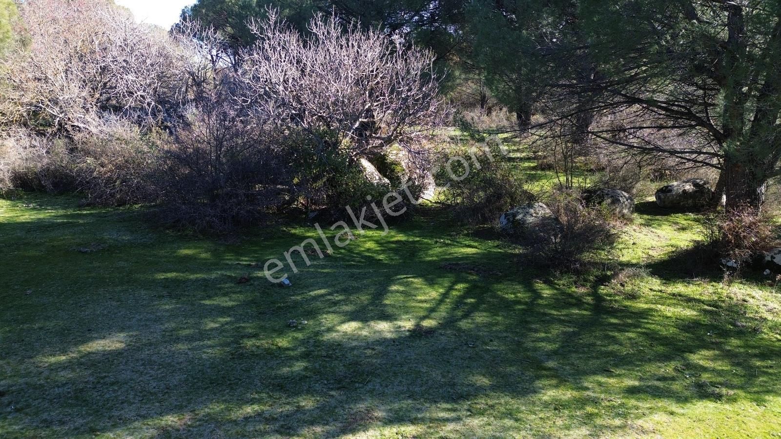 Bergama Kozak Yaylası Aşağıcuma Mahallesinde Satılık Bağ - Görsel 18