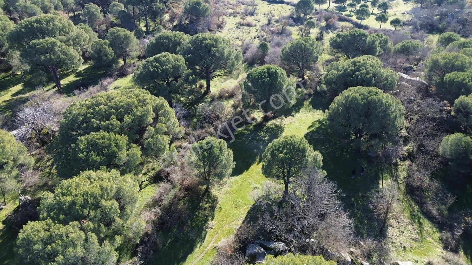 Bergama Kozak Yaylası Aşağıcuma Mahallesinde Satılık Bağ - Görsel 35