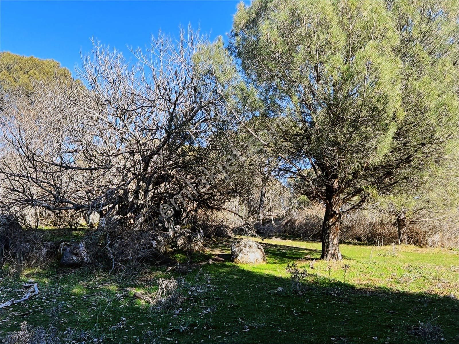 Bergama Kozak Yaylası Aşağıcuma Mahallesinde Satılık Bağ - Görsel 33