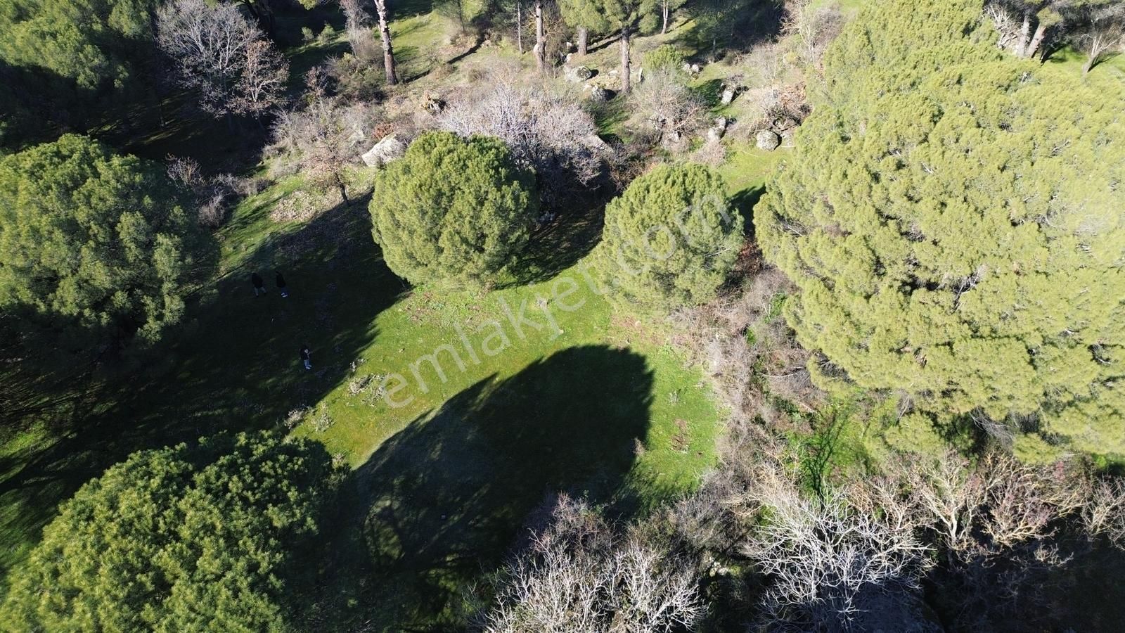 Bergama Kozak Yaylası Aşağıcuma Mahallesinde Satılık Bağ - Görsel 22