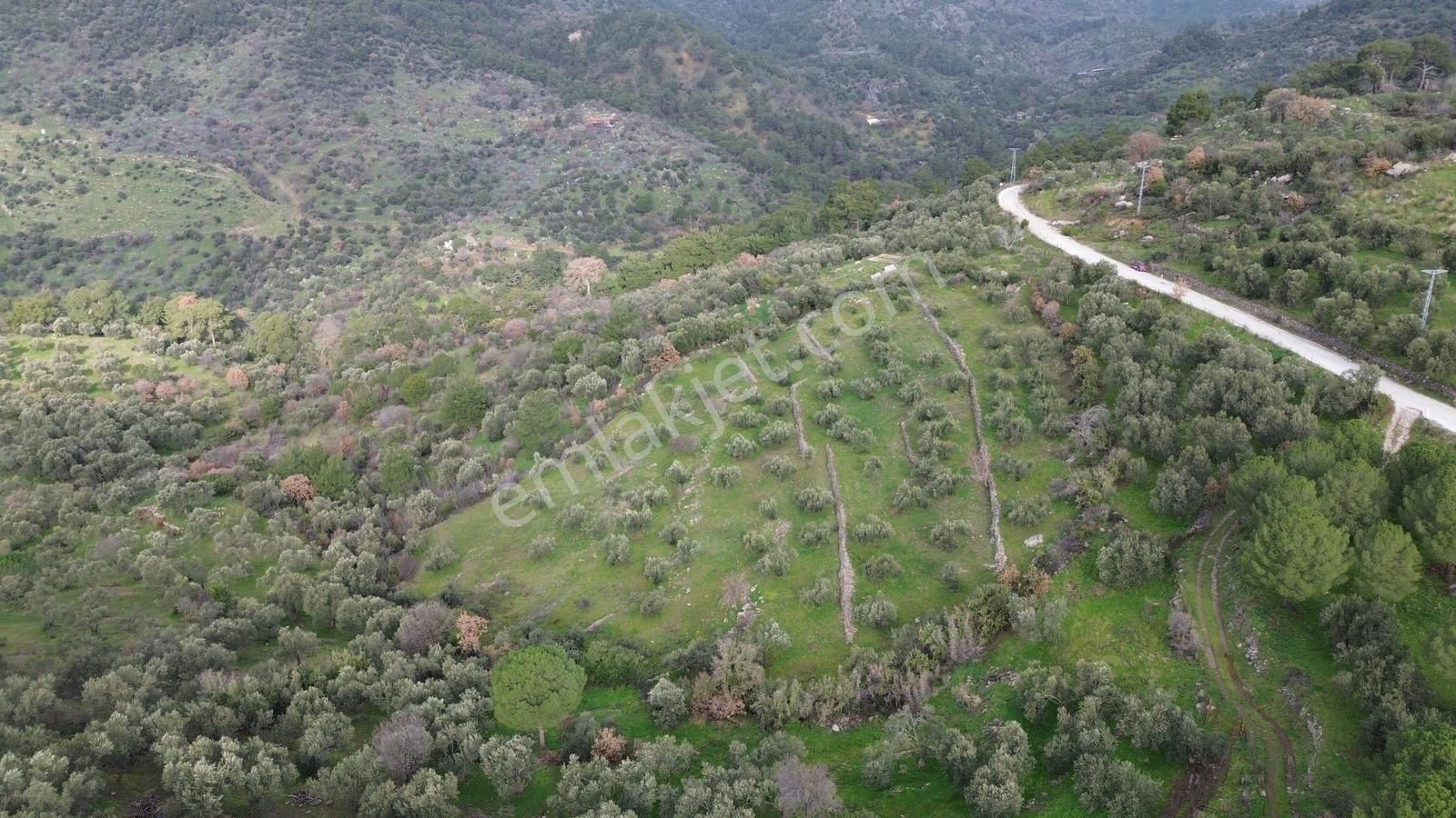 Dikili Çağlan Mahallesinde 7.772 M2 Satılık Tarla - Görsel 32