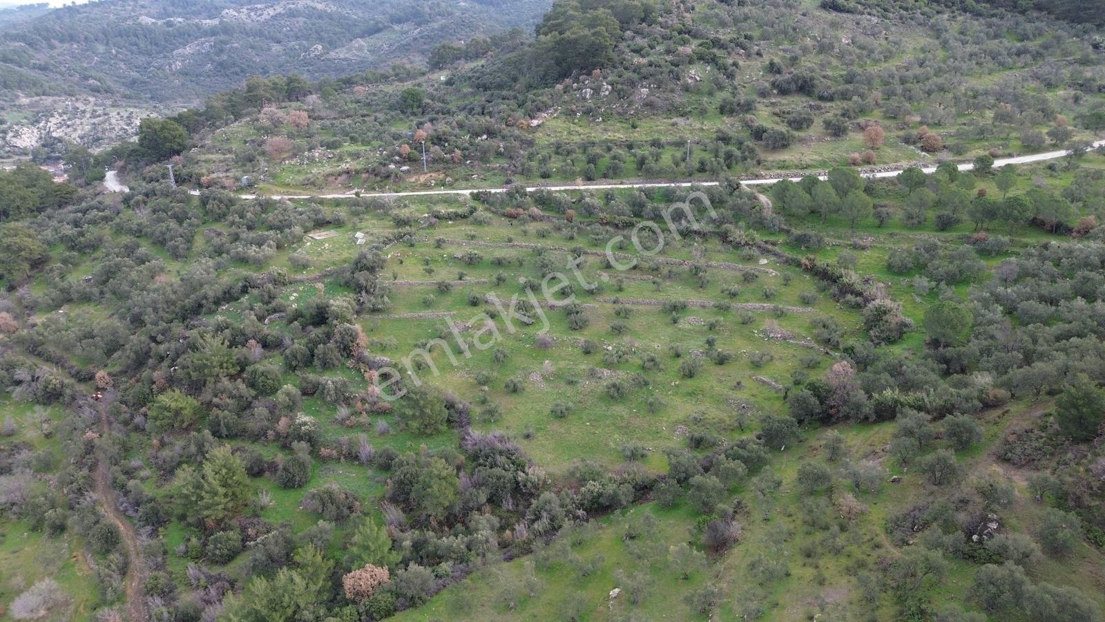 Dikili Çağlan Mahallesinde 7.772 M2 Satılık Tarla - Görsel 8