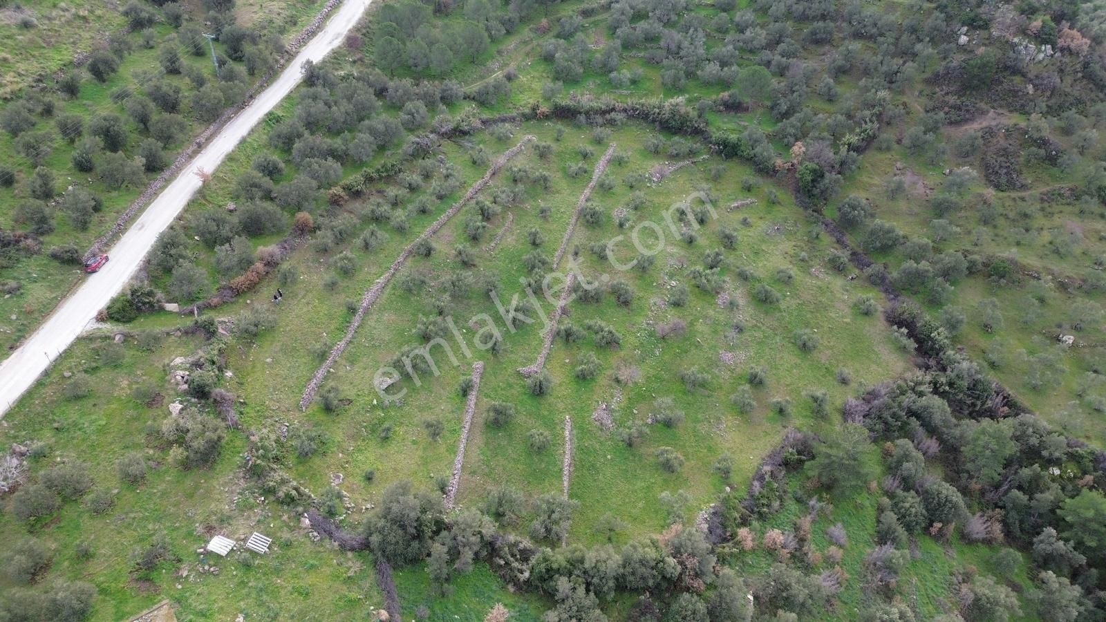 Dikili Çağlan Mahallesinde 7.772 M2 Satılık Tarla - Görsel 23