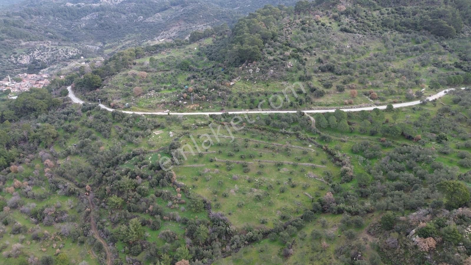 Dikili Çağlan Mahallesinde 7.772 M2 Satılık Tarla - Görsel 6