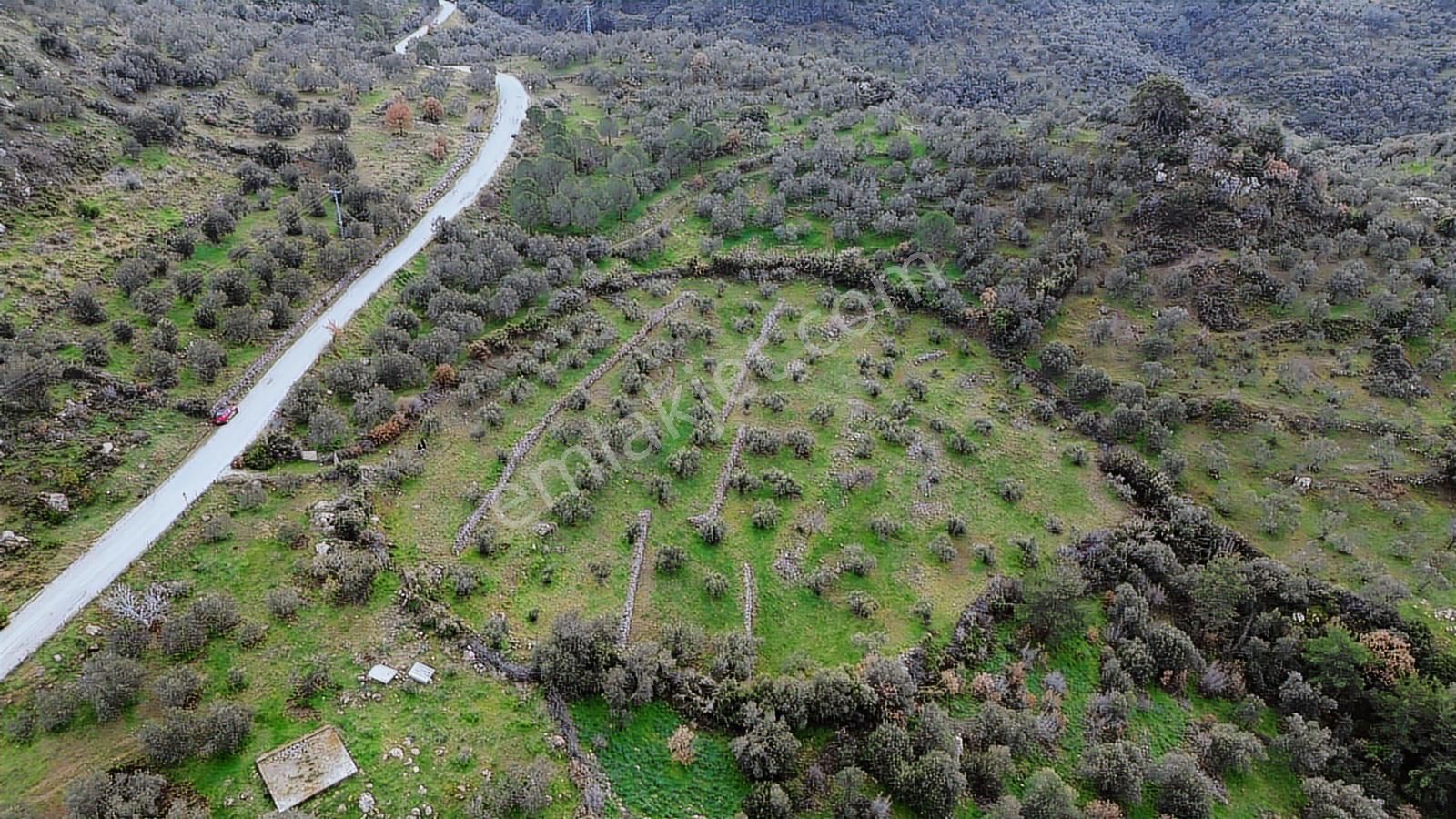 Dikili Çağlan Mahallesinde 7.772 M2 Satılık Tarla - Görsel 26