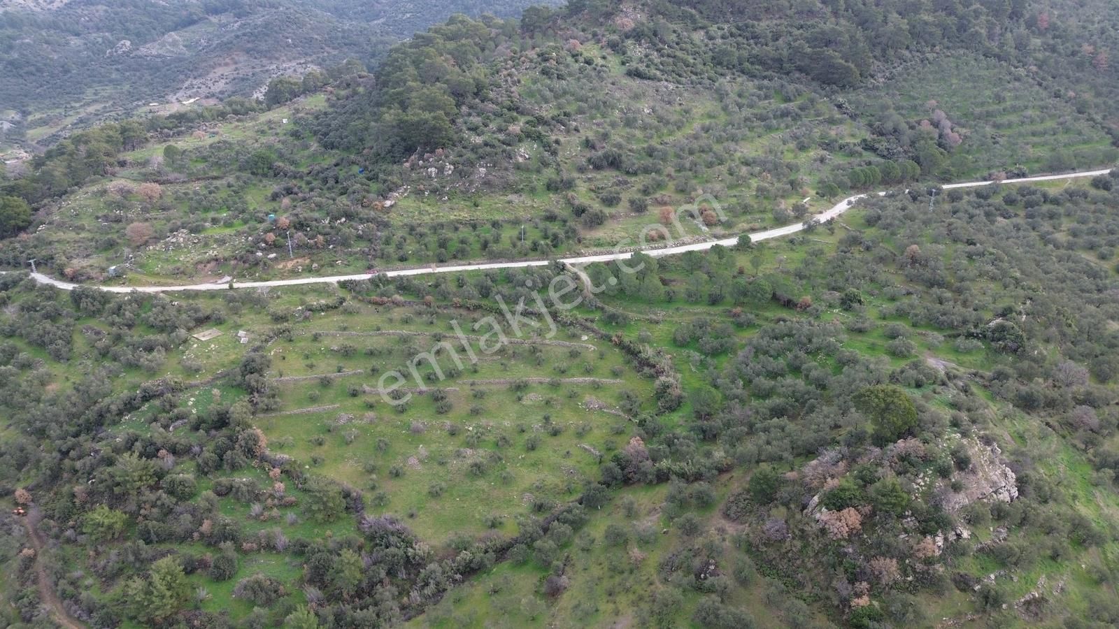 Dikili Çağlan Mahallesinde 7.772 M2 Satılık Tarla - Görsel 29