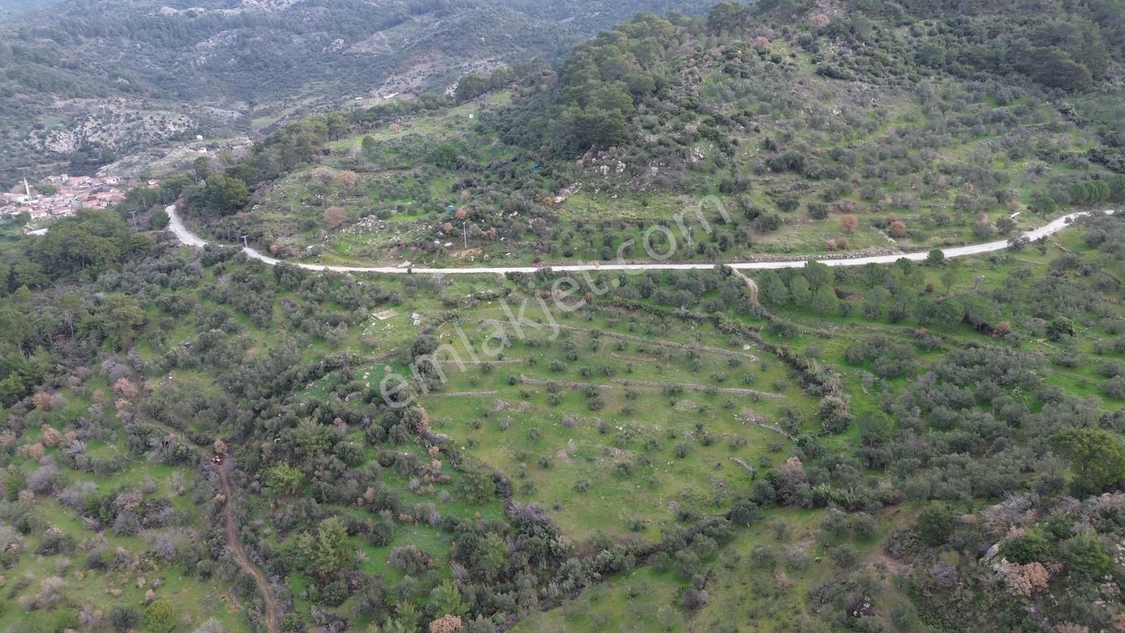 Dikili Çağlan Mahallesinde 7.772 M2 Satılık Tarla - Görsel 19