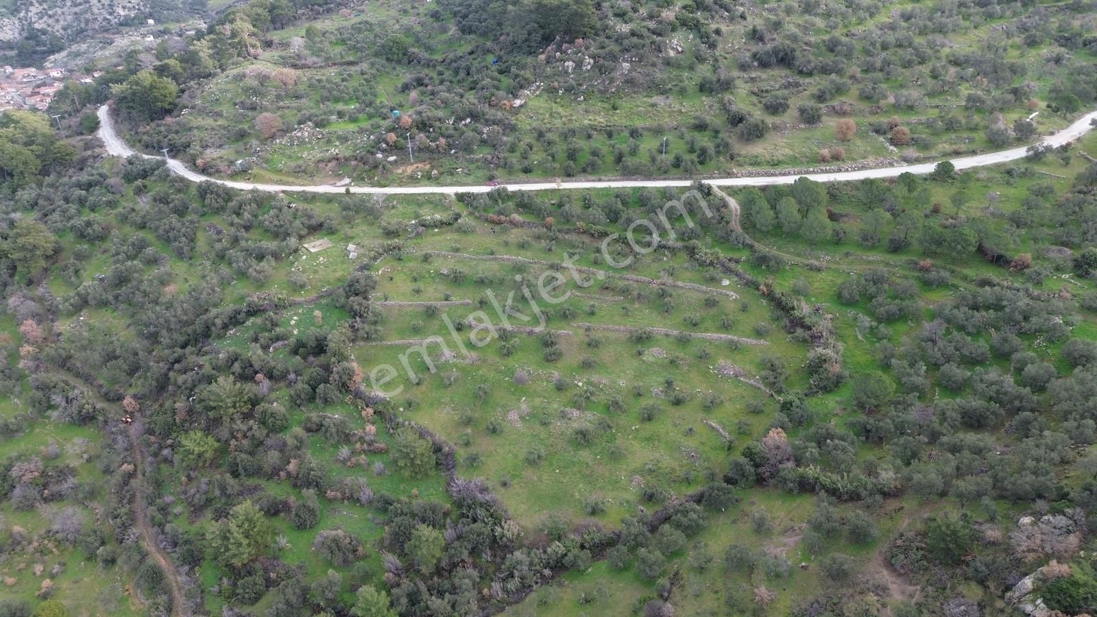 Dikili Çağlan Mahallesinde 7.772 M2 Satılık Tarla - Görsel 5