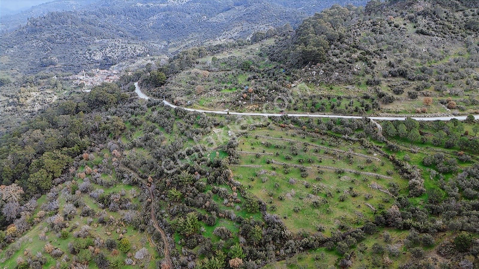 Dikili Çağlan Mahallesinde 7.772 M2 Satılık Tarla - Görsel 7