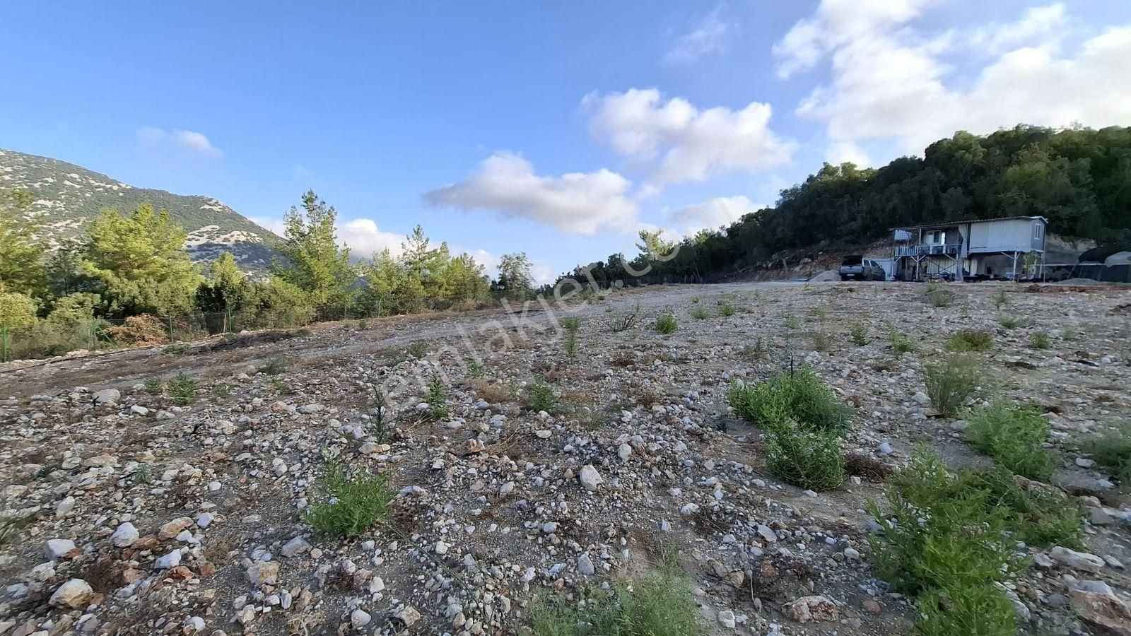 Kumluca Yeşilköyde 12.000 M² Prefabrikli, Elektrikli Ve Sondaj - Görsel 14