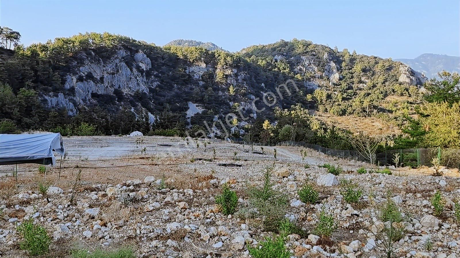 Kumluca Yeşilköyde 12.000 M² Prefabrikli, Elektrikli Ve Sondaj - Görsel 5