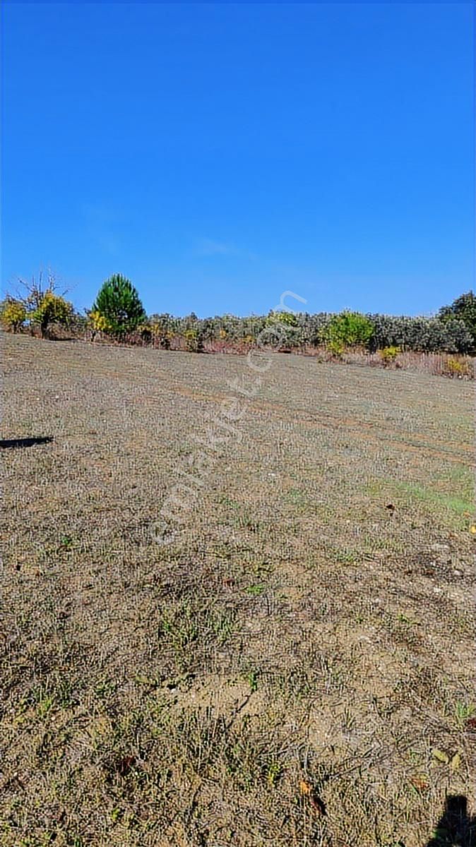 Hasanağa 2350 M2 İmarlı 45 Adet 2+1 Ruhsat Hazır Arsa - Görsel 6