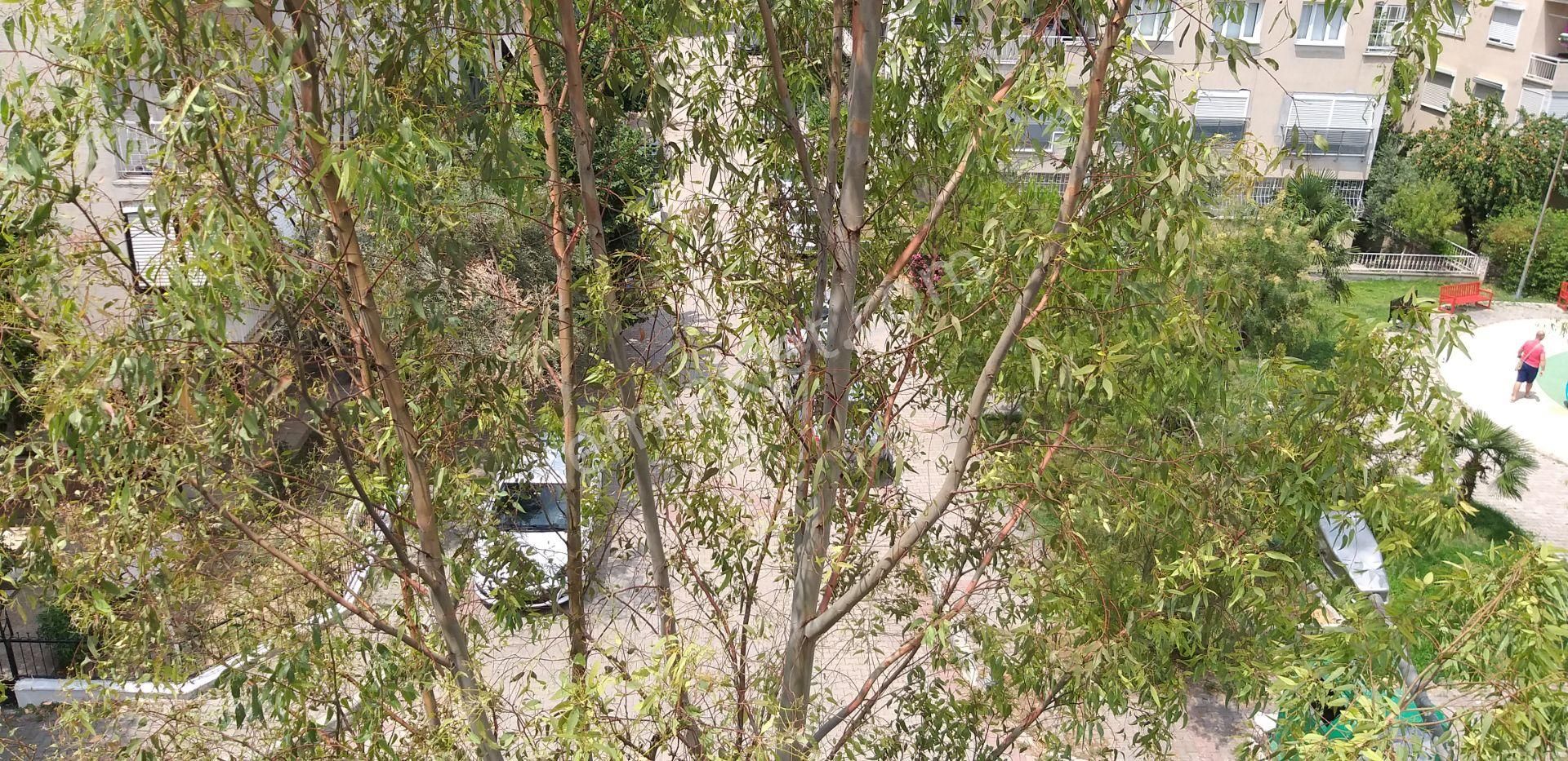 Bornova Özkanlar Kazımdirik Mah. Gürmar Mağazası Arkasında Kiralık Eşyalı - Eşyasız 2+1 Daire - Görsel 16