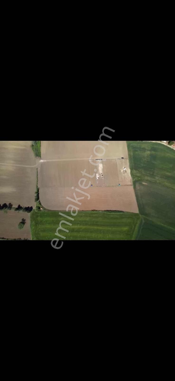 Çatalca Ova Yenice Tek Tapu Kaçırılmayacak Lokasyon - Görsel 2