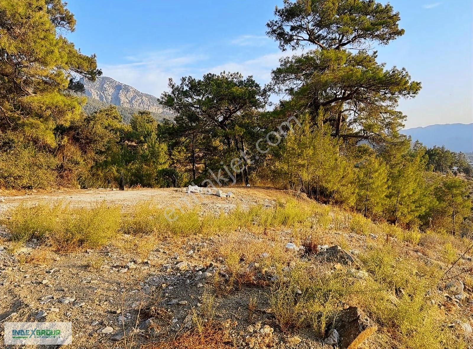 Adrasan Çampır'da Önü Açik, Arkası Orman, Tepe Yer Ve 1800 M2