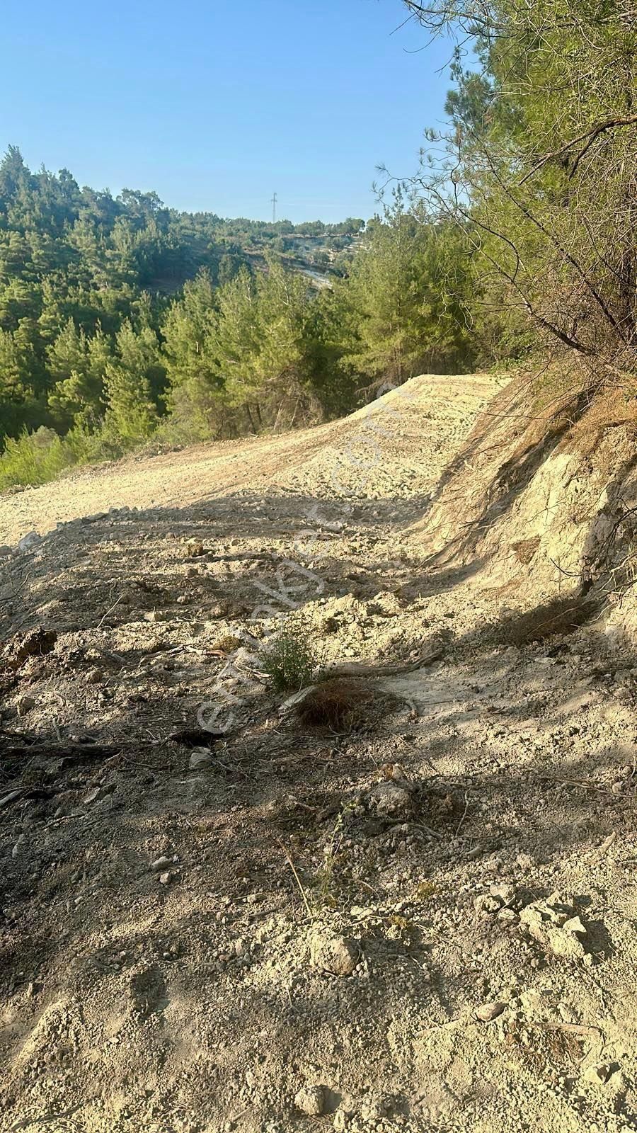 📍 Bergama’da 2.394.57 M² Zeytinlik Tarla - Görsel 2