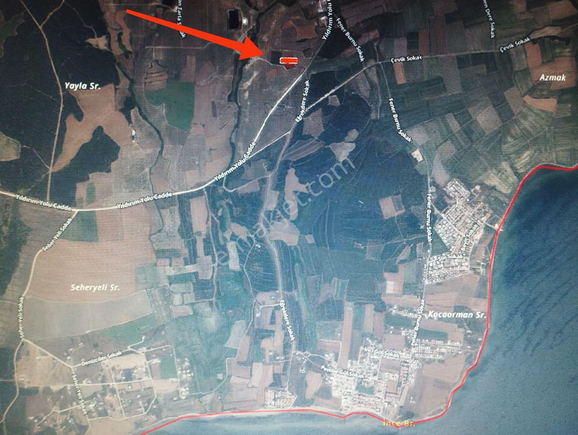Şarköy. K. Terzi Mah. De Suyu Ve Sulama Sistemi Hazır Satılık Zeytinlik. - Görsel 4