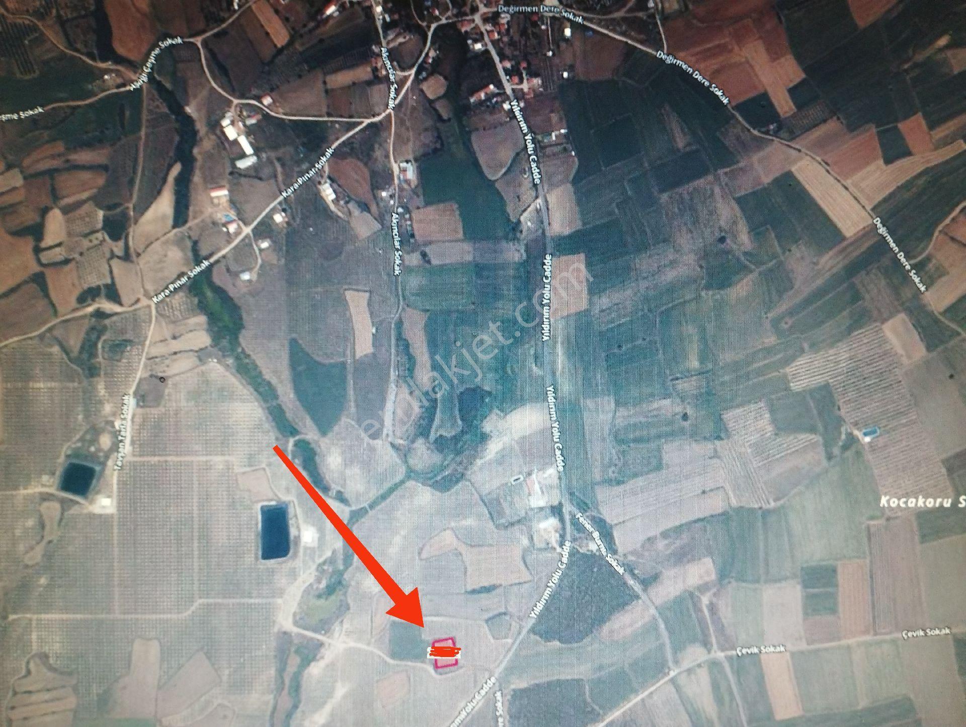 Şarköy. K. Terzi Mah. De Suyu Ve Sulama Sistemi Hazır Satılık Zeytinlik. - Görsel 3