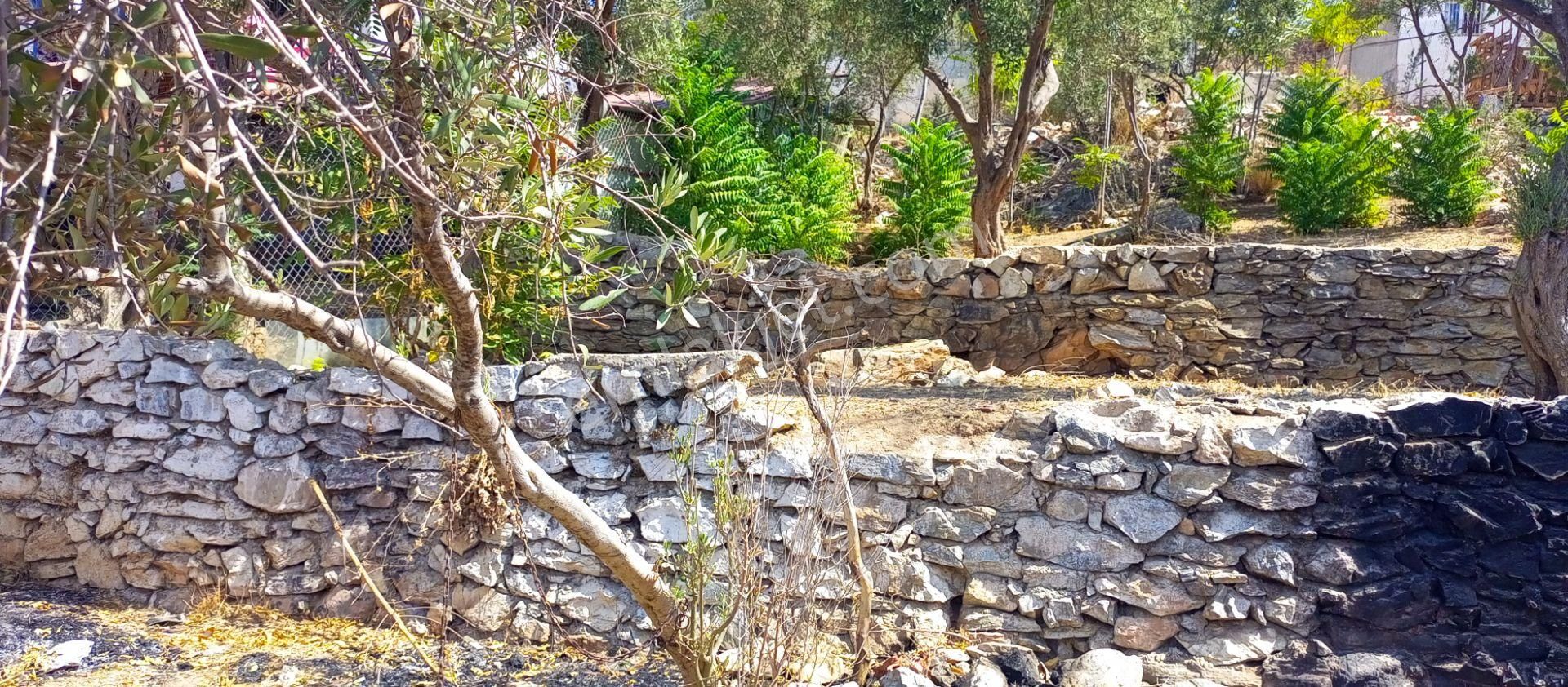 Torbalı Emlaktan Kuşçuburun M. Muhteşem Manzaralı 477m2 Arsada Müstakil Eski Taş Ev Ve Depo Satılık - Görsel 3