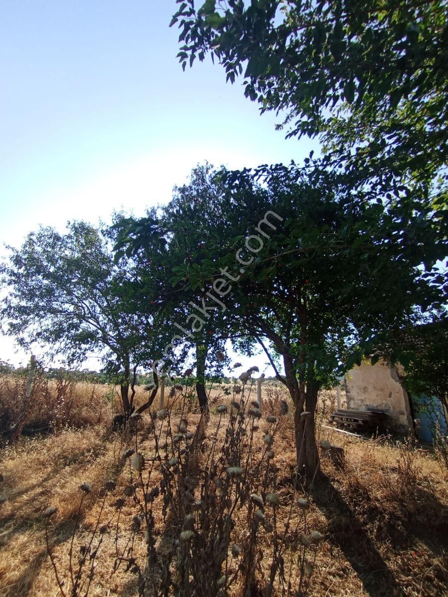 İzmir Tirede Yatırımlık Tarla! - Görsel 9