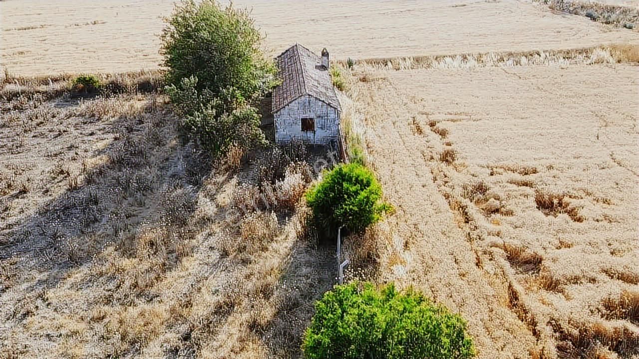 İzmir Tirede Yatırımlık Tarla!
