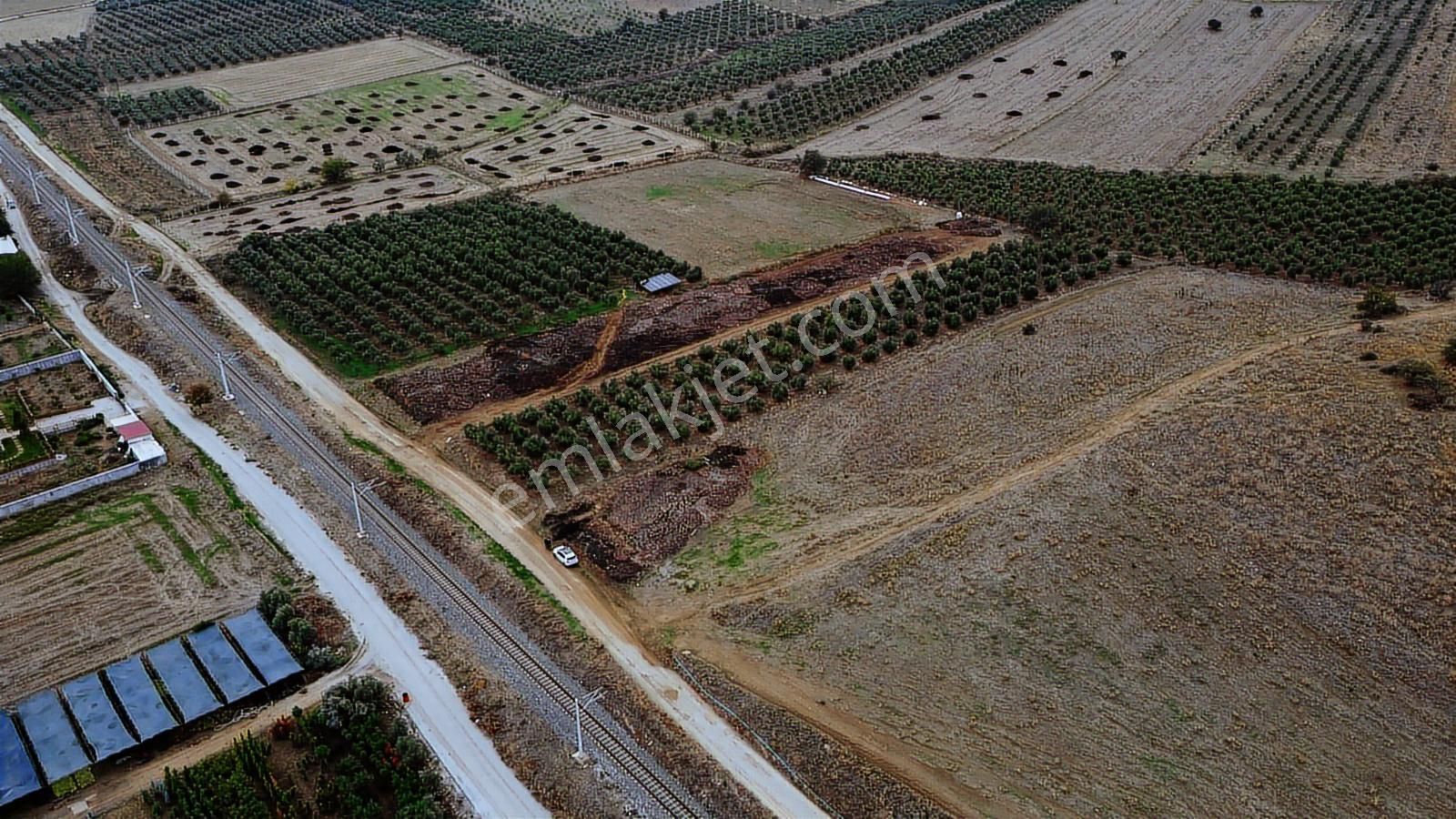 Yola Sıfır 6.426 M² Fırsatt Tarla Doyranlı / Tire - Görsel 8