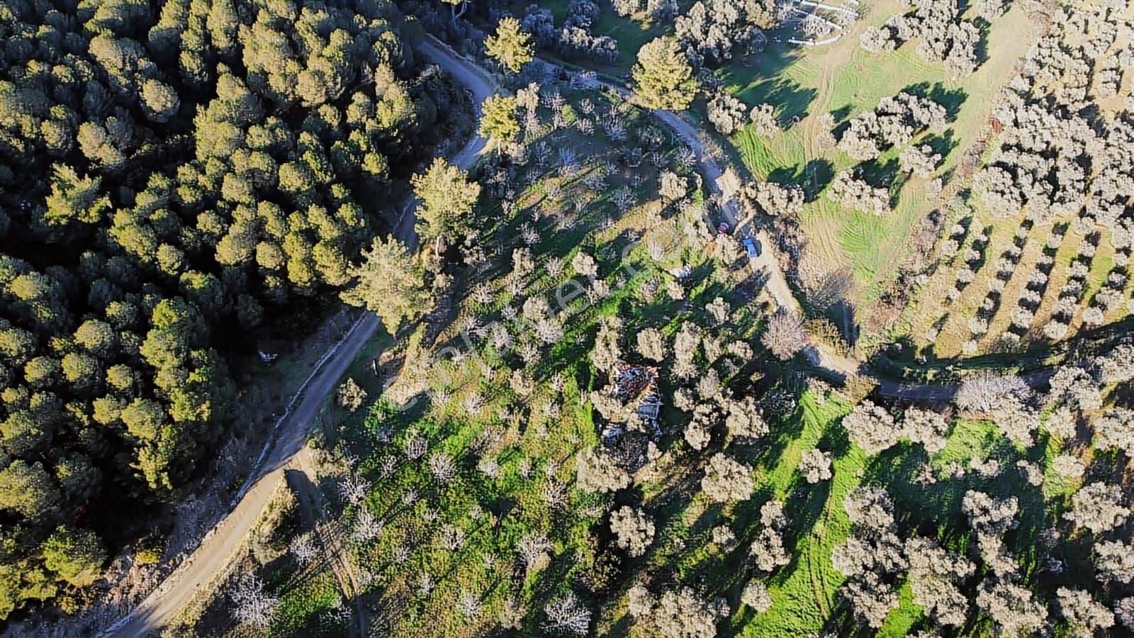 Şehrin Gürültüsünden Sıkılanlar İçin Fırsat Arsa - Görsel 11