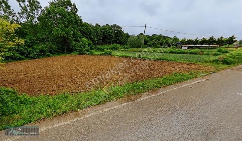 Kandıra Duraçalıda Asfalt Cepheli, Köy Merkezine Yakın 688 M² S