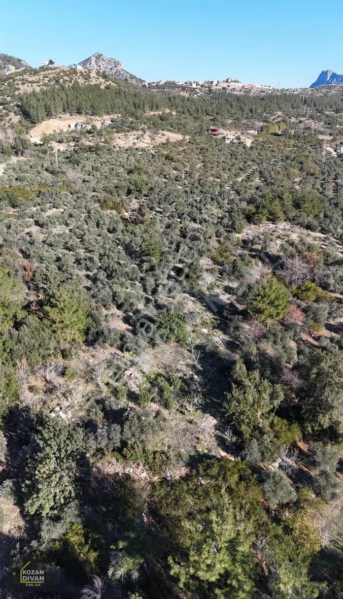 Kozan Divan Emlak'tan Ağlıboğaz'da Köşe 430 M2 Arsa - Görsel 3