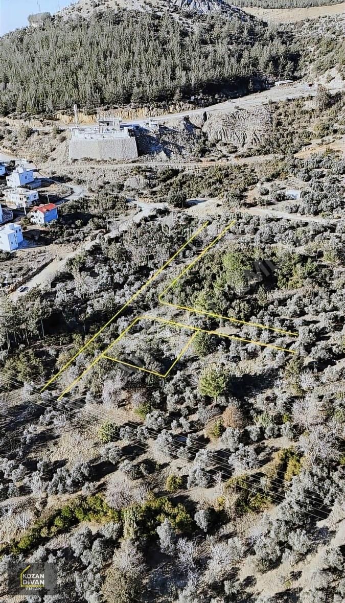 Kozan Divan Emlak'tan Ağlıboğaz'da Köşe 430 M2 Arsa - Görsel 4