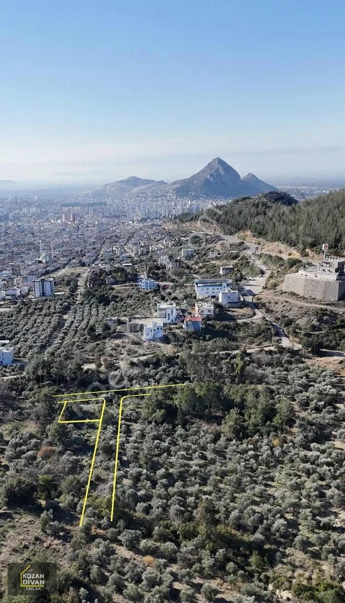 Kozan Divan Emlak'tan Ağlıboğaz'da Köşe 430 M2 Arsa - Görsel 2