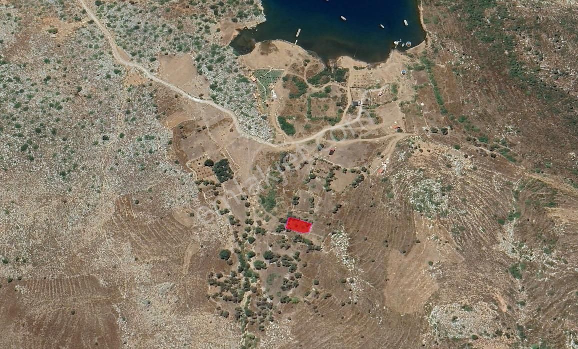 Marmaris Bozburun Burgaz Mevki Deniz Manzaralı Tarla