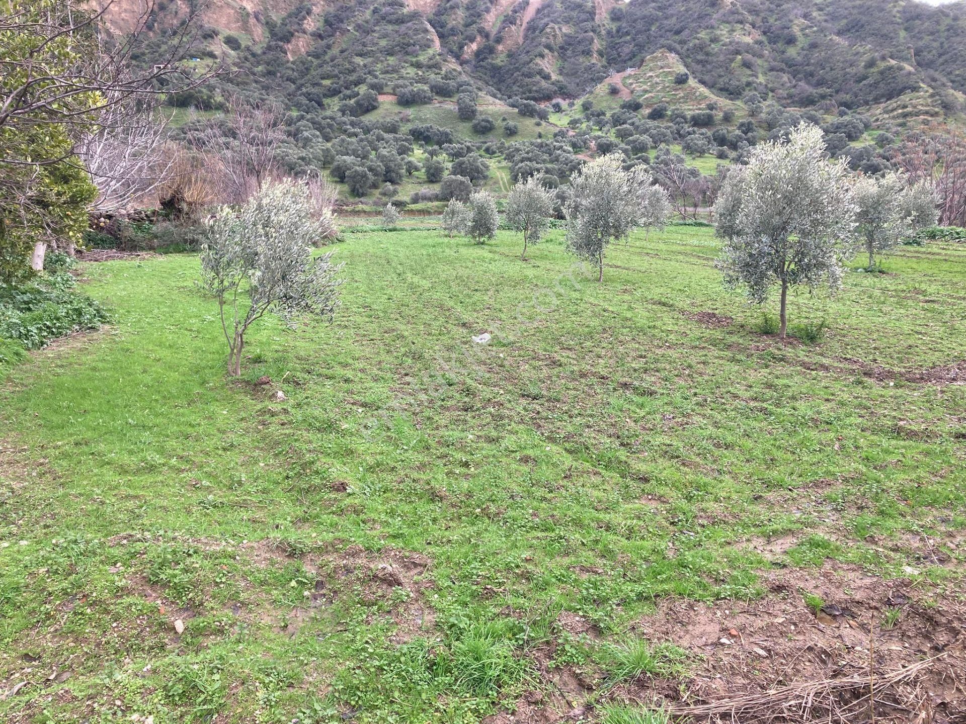Araç Takaslı Nazilli Yakını Kestel Mah Köyiçi İmarlı Arsa Ve Bahçe 1446 M2 - Görsel 4