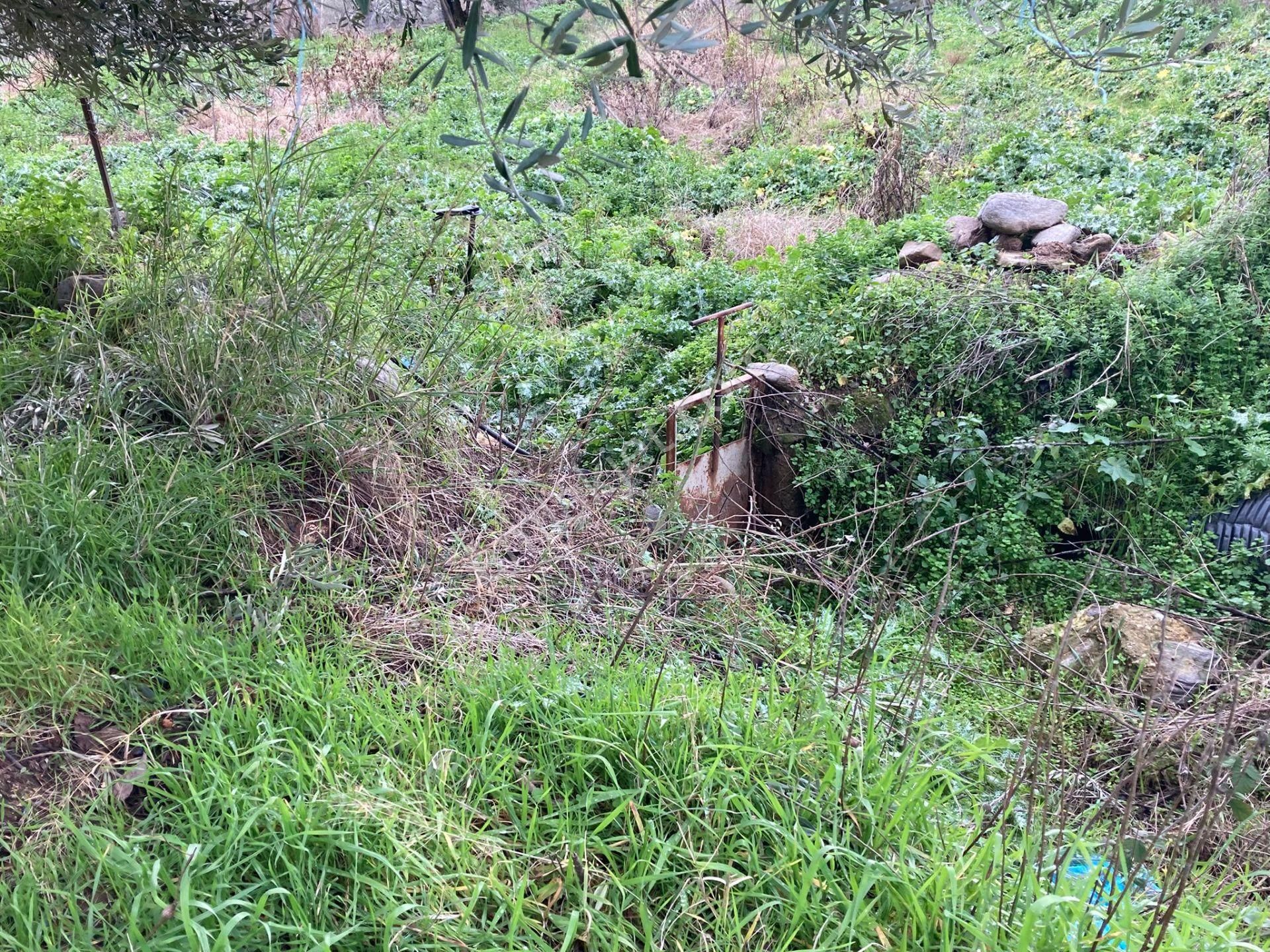 Araç Takaslı Nazilli Yakını Kestel Mah Köyiçi İmarlı Arsa Ve Bahçe 1446 M2 - Görsel 11