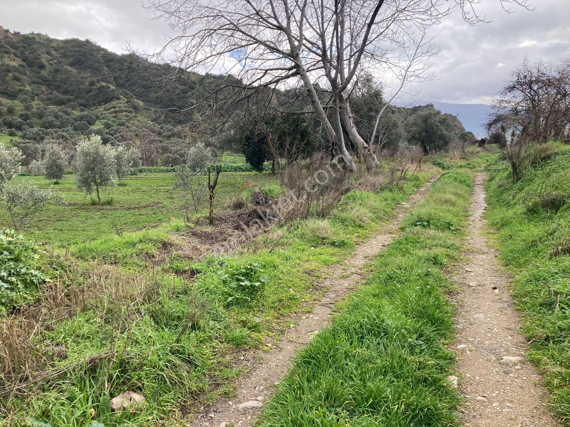 Araç Takaslı Nazilli Yakını Kestel Mah Köyiçi İmarlı Arsa Ve Bahçe 1446 M2 - Görsel 6