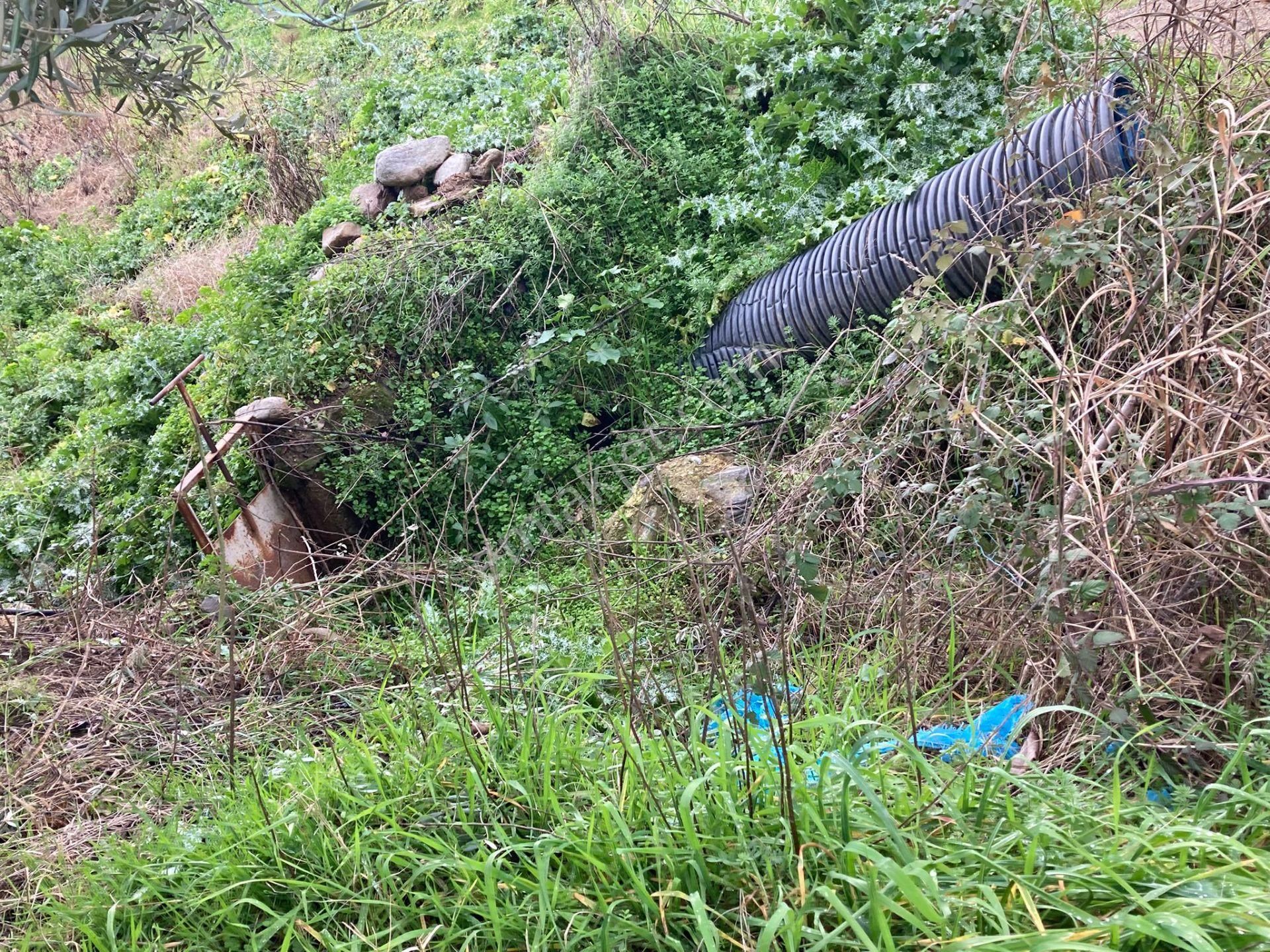 Araç Takaslı Nazilli Yakını Kestel Mah Köyiçi İmarlı Arsa Ve Bahçe 1446 M2 - Görsel 12