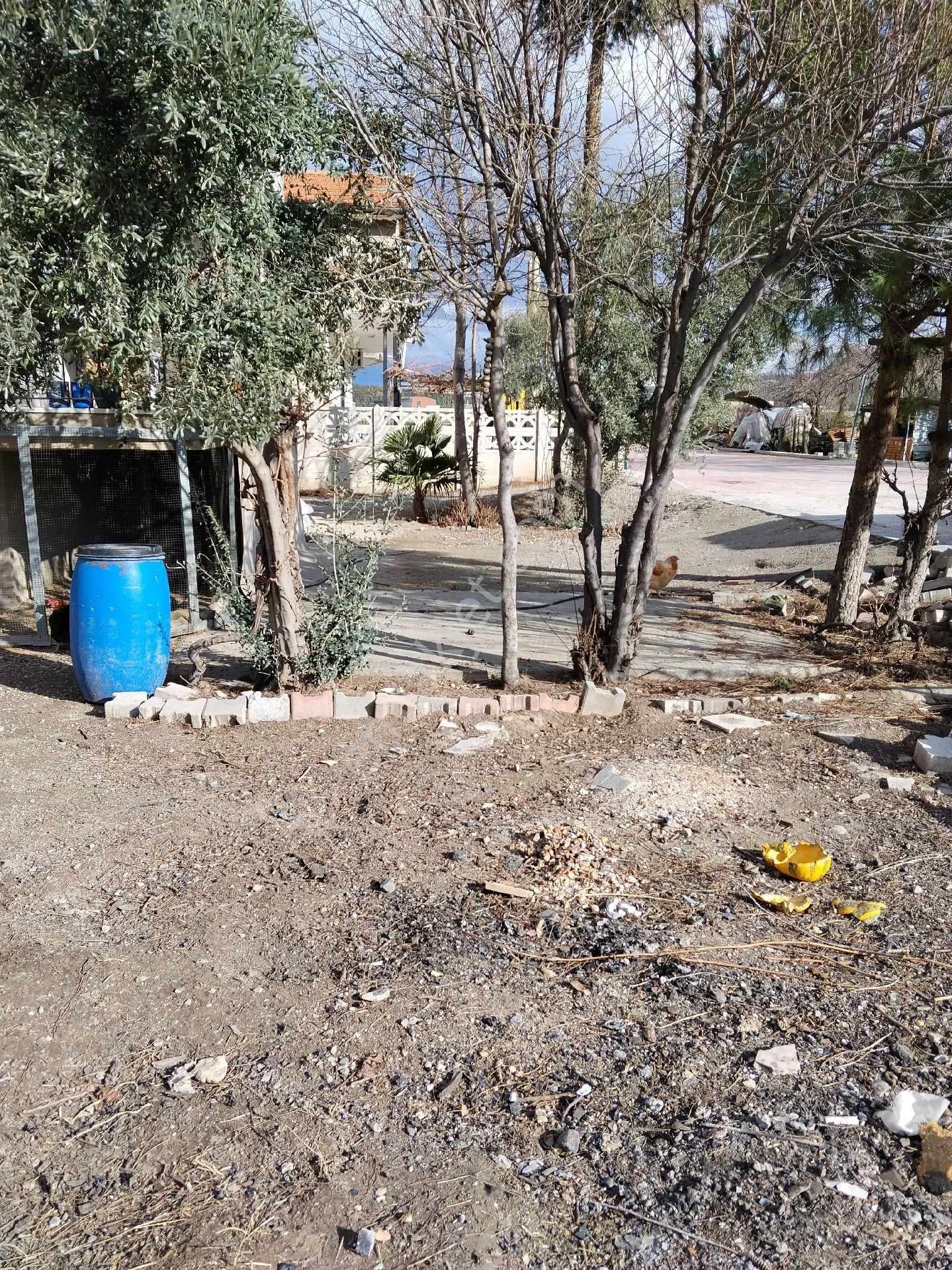 Kaklık Çal Yolu Sakın Köy Havasında - Görsel 4