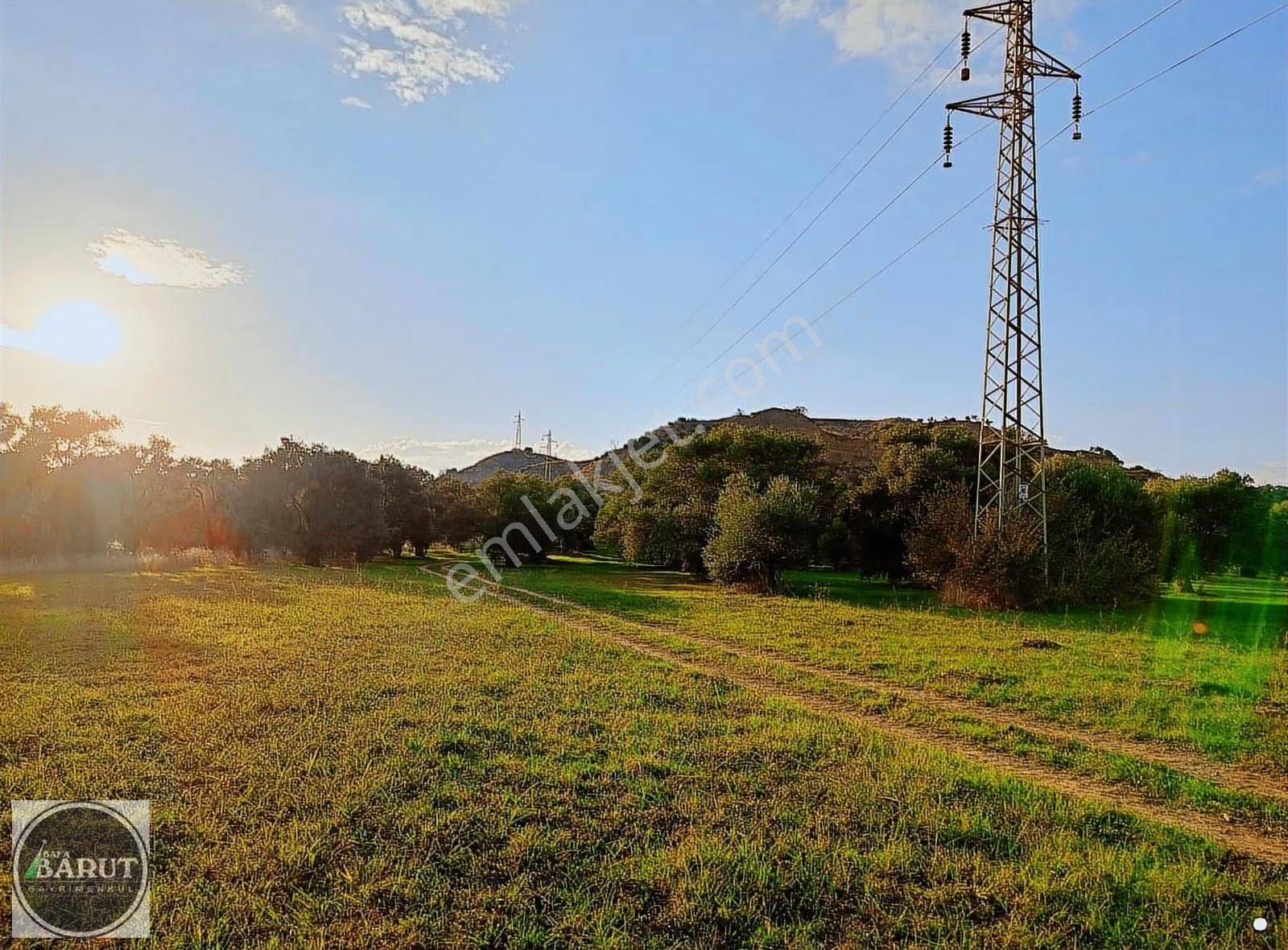 Germencik Alangüllü Köy Ana Yoluna Sıfır 8690 M2 Harika Bahçe - Görsel 4