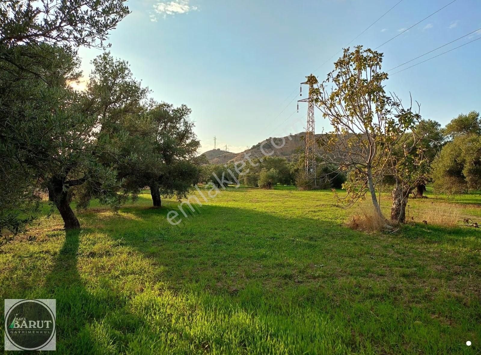 Germencik Alangüllü Köy Ana Yoluna Sıfır 8690 M2 Harika Bahçe - Görsel 6