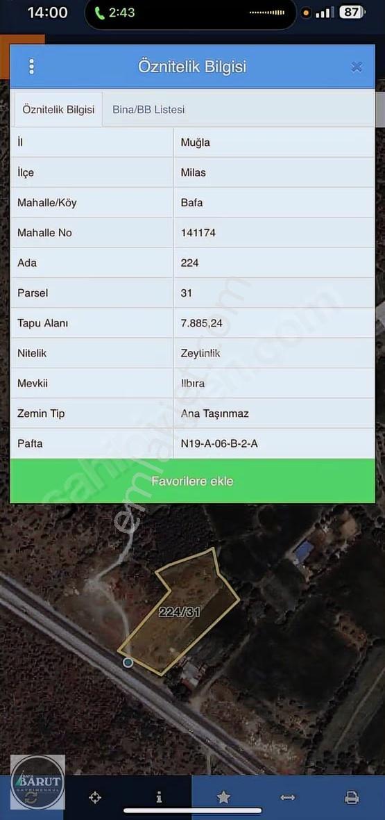 Milas Bafa Da Ana Yola Sıfır Köy İci Kaçmaz Fırsat - Görsel 4