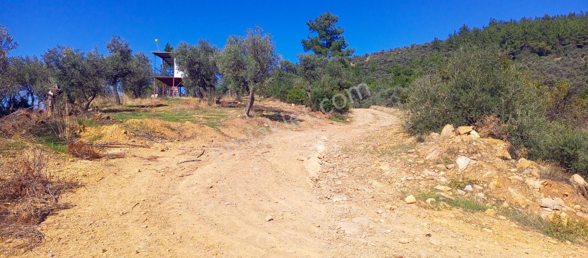 Torbalı Dirmil'de Muhteşem Manzaralı, Yolu Olan, İçinde Konteynır Olan 4260m2 Zeytinlik Satılıktır - Görsel 34